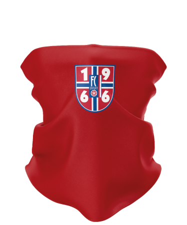 Schlauchschal | rot | 1966 crest | Erfurt